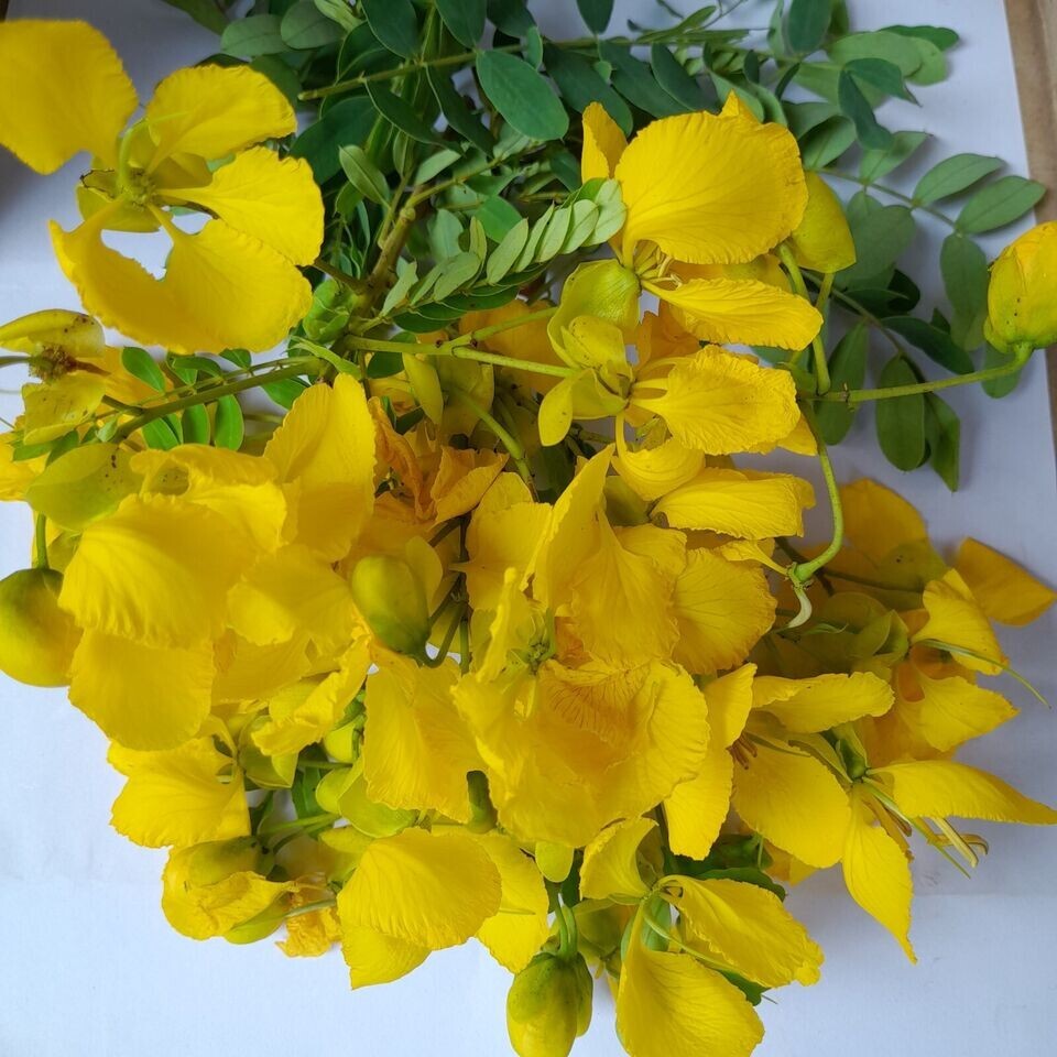 Ranawara Mal 250g Herbal Tea Cassia Senna Auriculata Avarampoo Natural Ceylon