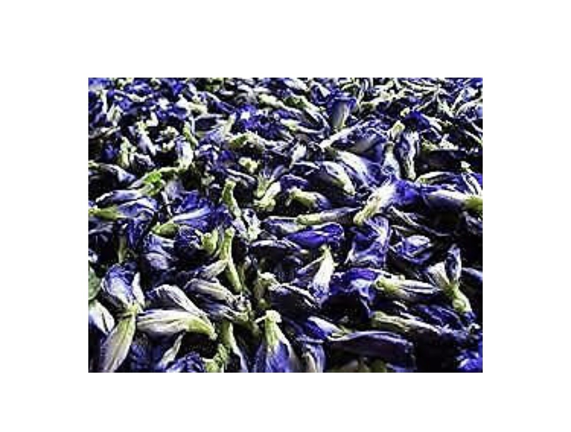 Organic Dried Butterfly Pea Flower Tea – 1OZ (28g) Caffeine Free
