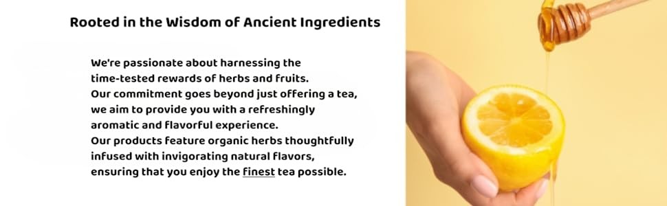 Organic Moringa Caffeine Herbal Tea – Original Flavor – 25 Premium Double