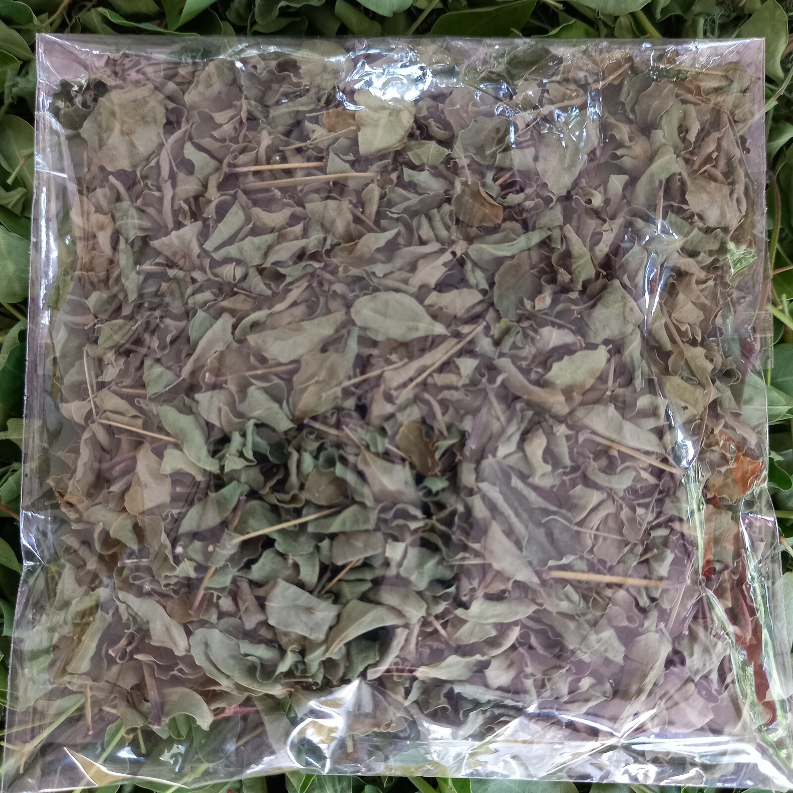 DRIED MORINGA LEAVES Herbal Oleifera Organic Pure Natural Multi Vitamin Ceylon