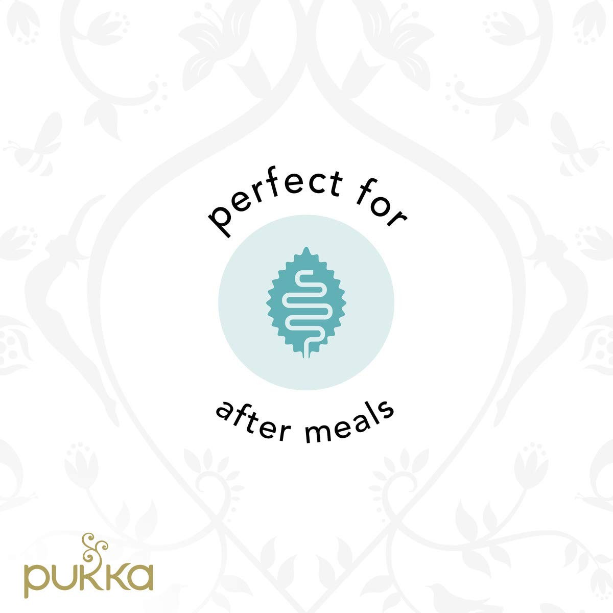 Pukka Herbal Tea 20 Count Pack Herbal Tea Variety for Healthy Living