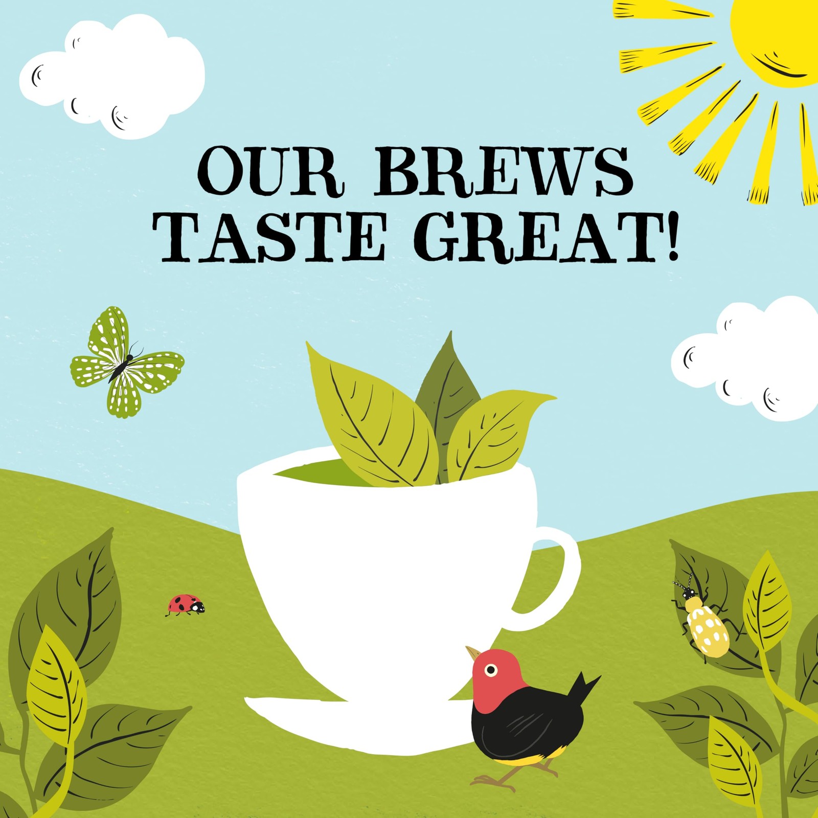 Clipper Tea, Organic Fairtrade Everyday, Organic, USDA Non-GMO, Fair Trade, S…