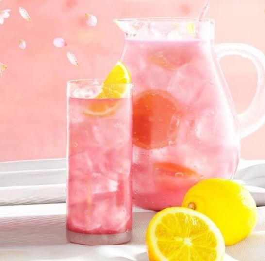 Teazen Kombucha Sicilian Pink Lemon 5g x 30 Sticks | Korean Kombucha Drink