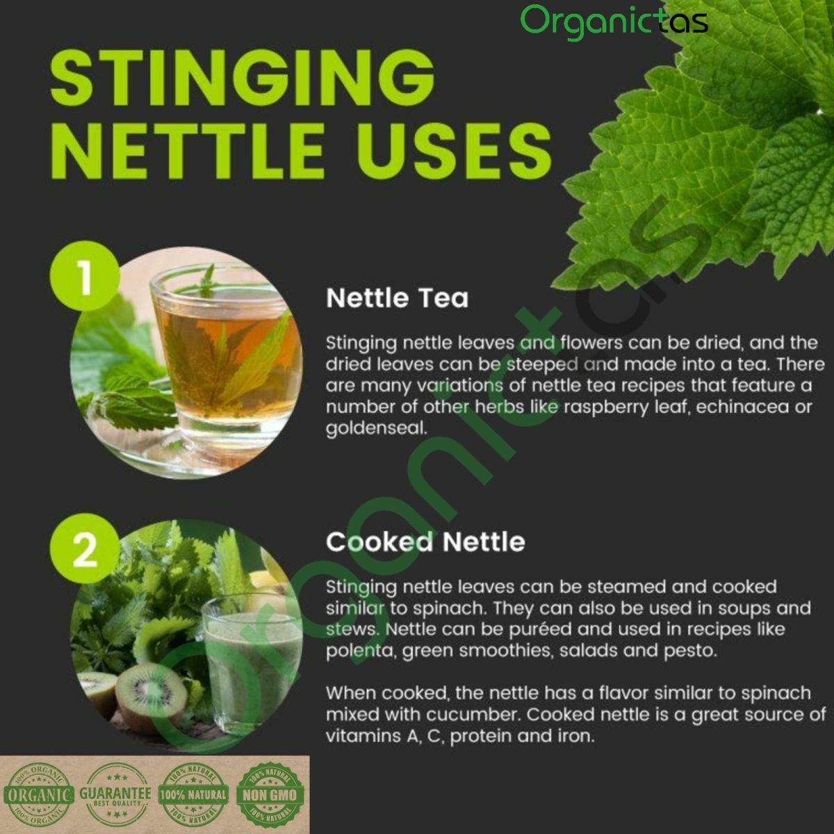 Organic NETTLE LEAF Herbal Tea Dried Cut Urtica Dioica 100g Premium Quality BIO