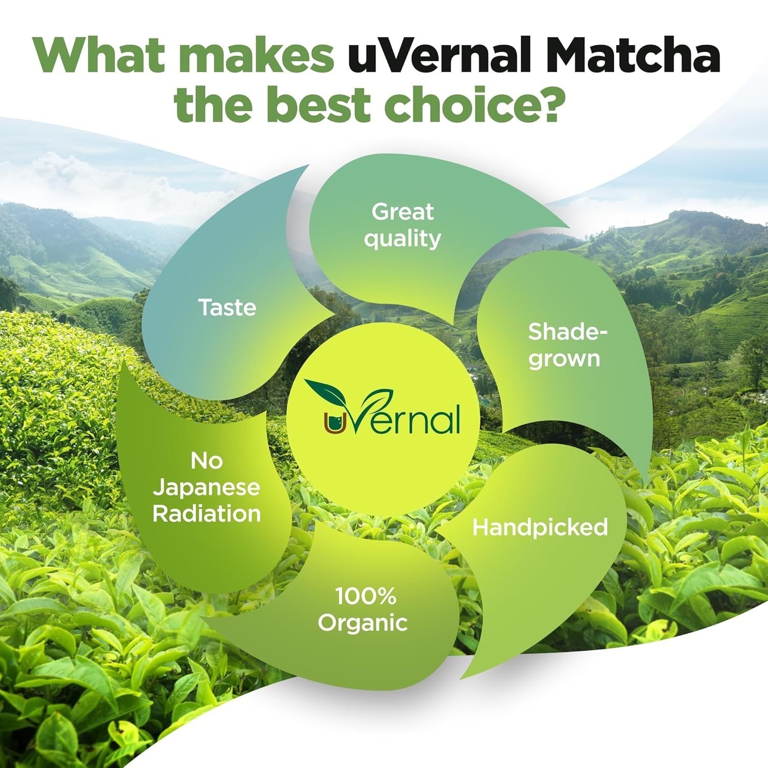 Organic Matcha Green Tea Powder 4oz 100% Pure Smoothie Latte Baking