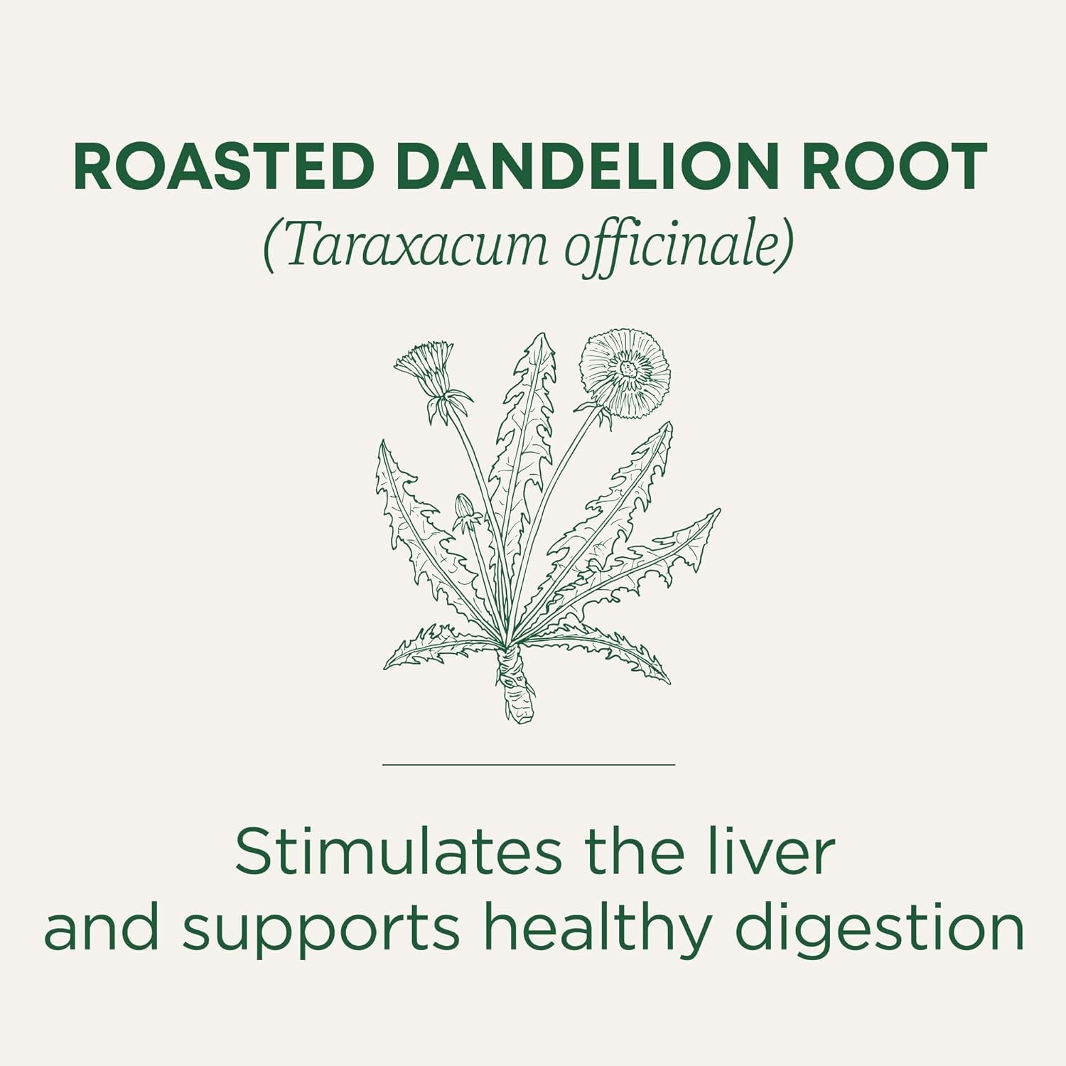 Herbal Digestive Support – Organic Dandelion Root Tea – Kosher & Caffeine-Free