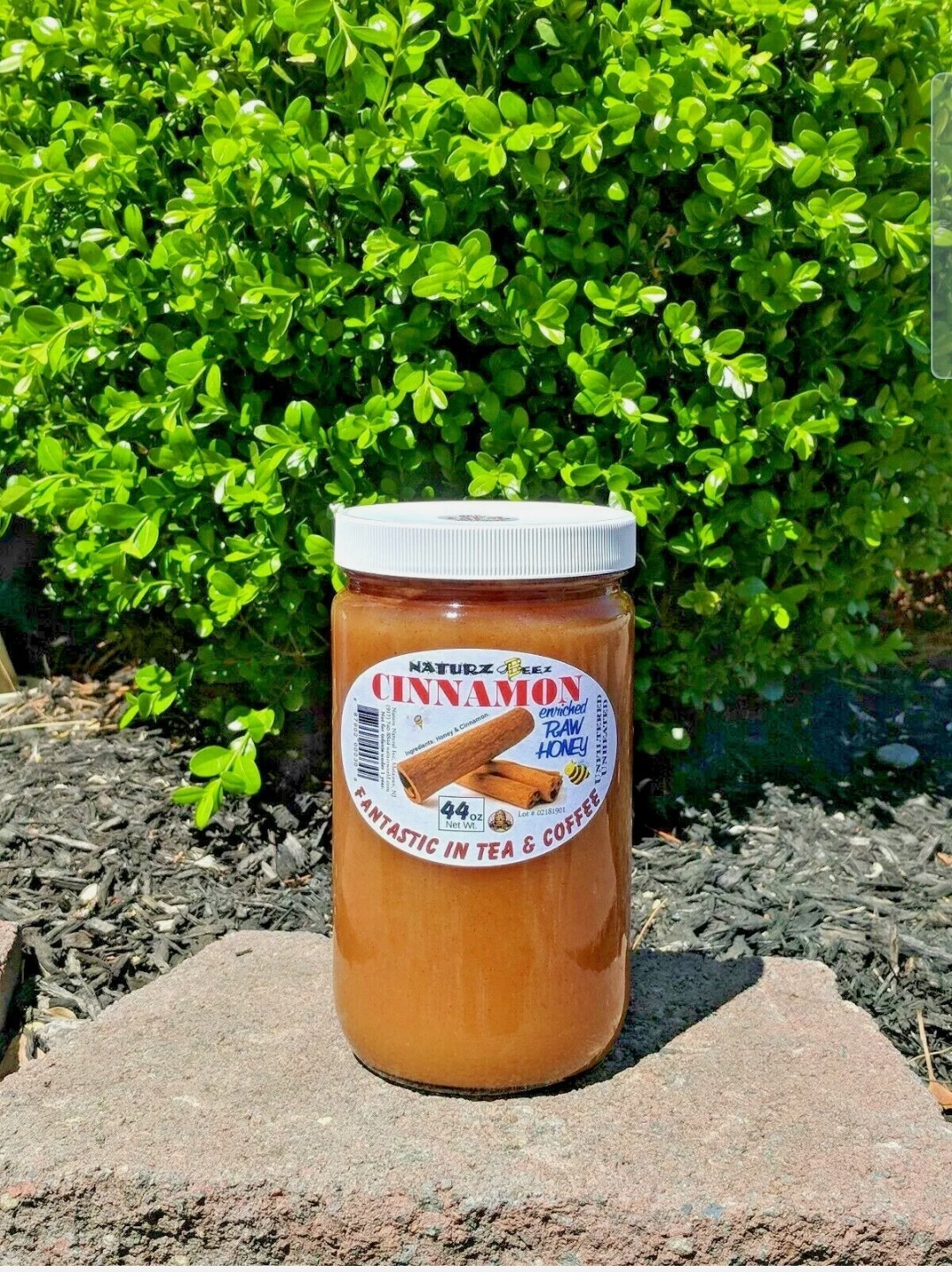 2 Jars RAW HONEY with CINNAMON 5.5 Lbs / 88oz / 2.5kg 100% RAW UNFILTERED USA