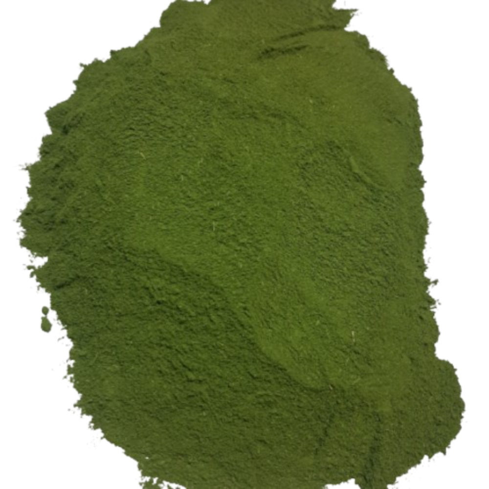 Dried Moringa Oleifera Leaf Powder Natural Pure Organic Ceylon 100% Herbal Tea