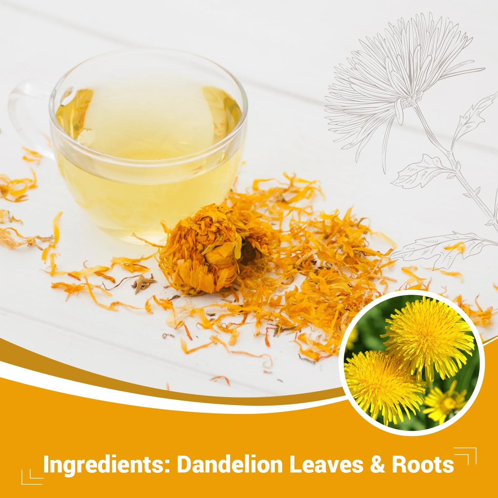 Dandelion Leaf & Root Herbal Tea-Caffeine-free herbal tea，No Sugar，50 Teabags