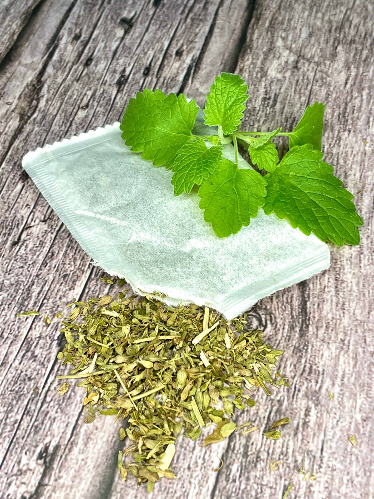 Catnip Tea by Palm Beach Herbals | 30ct, Caffeine-Free