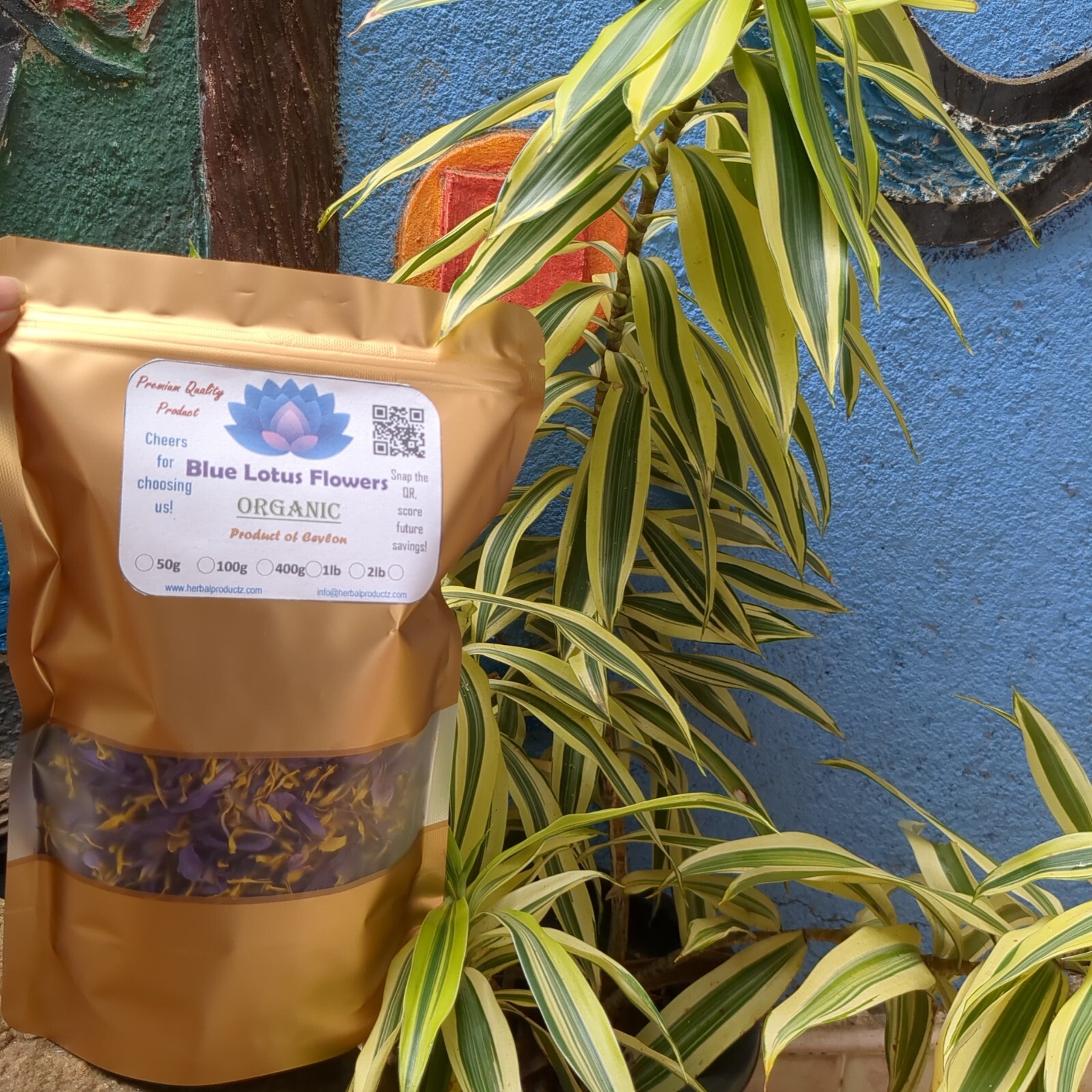 Blue lotus Flower Petals Dried Flower Organic Pure Natural Ceylon Herb Tea/Smoke
