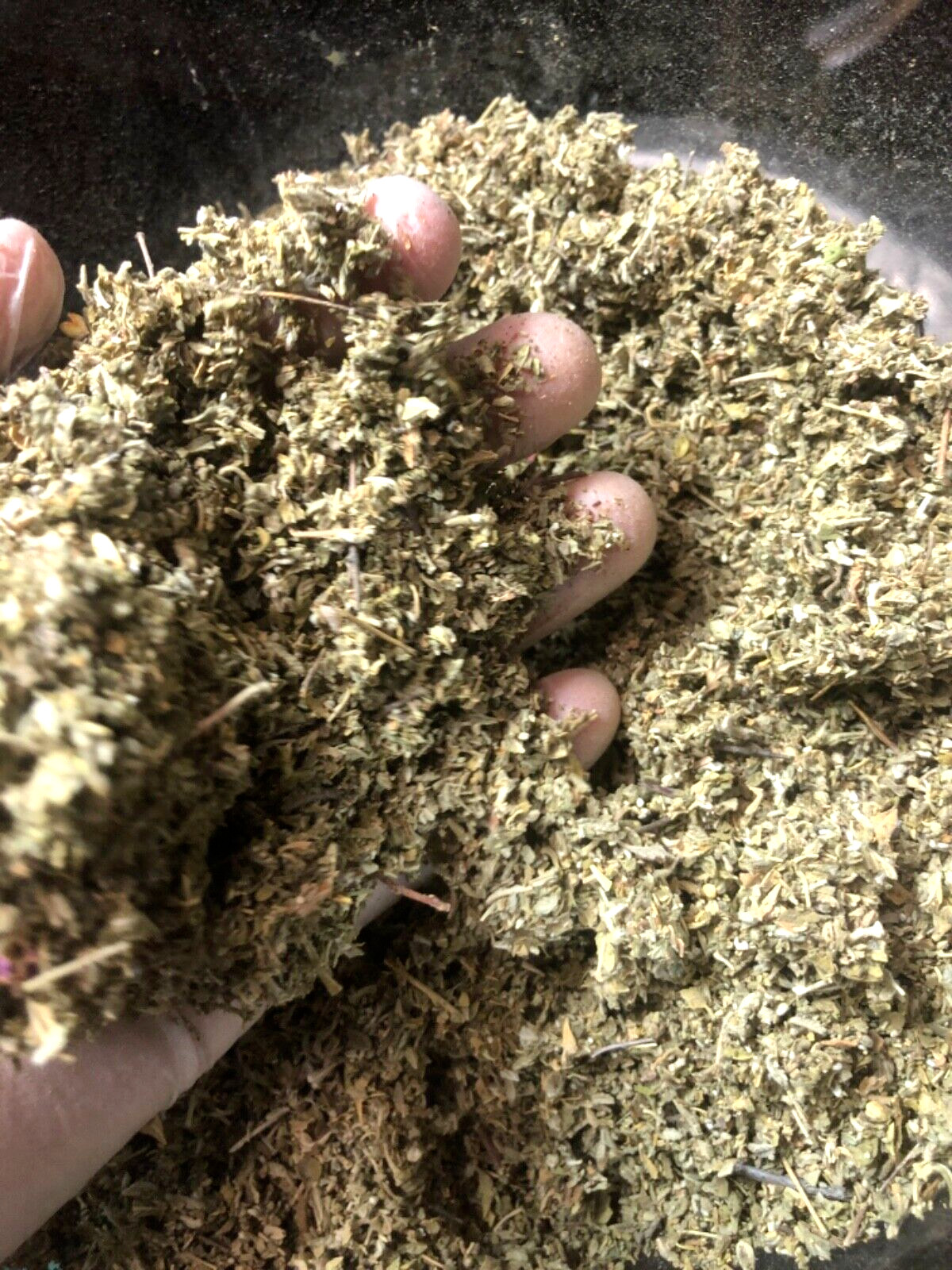 DAMIANA c/s ORGANIC botanical natural herb wild crafted cut leaf – 1 lb (16 oz)