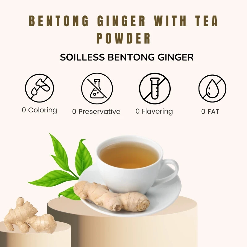 Bentong Ginger Tea with Tea Powder { CAROMA } New 2 Boxes ( 18g x 20 Sachet )