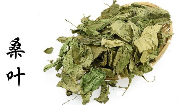 Dried Mulberry Leaf Tea 桑葉茶 16 oz – Free US Shipping