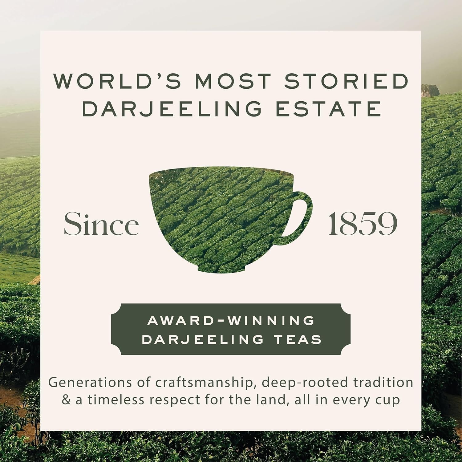 Makaibari Golden Bru Darjeeling Black Tea – ( 100 Teabags )