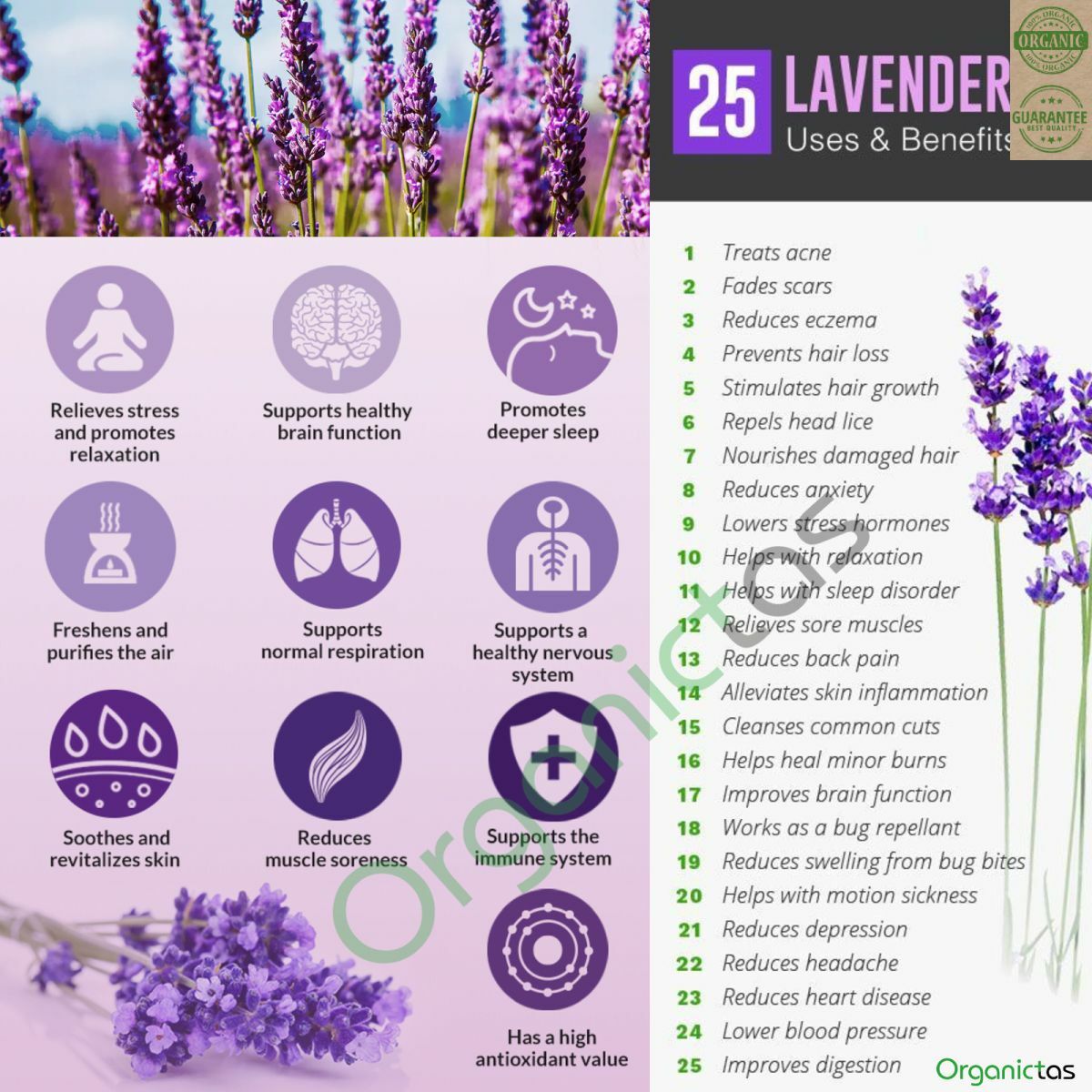 100g Organic LAVENDER FLOWER Herbal Tea Natural Scent & Aroma Premium Quality