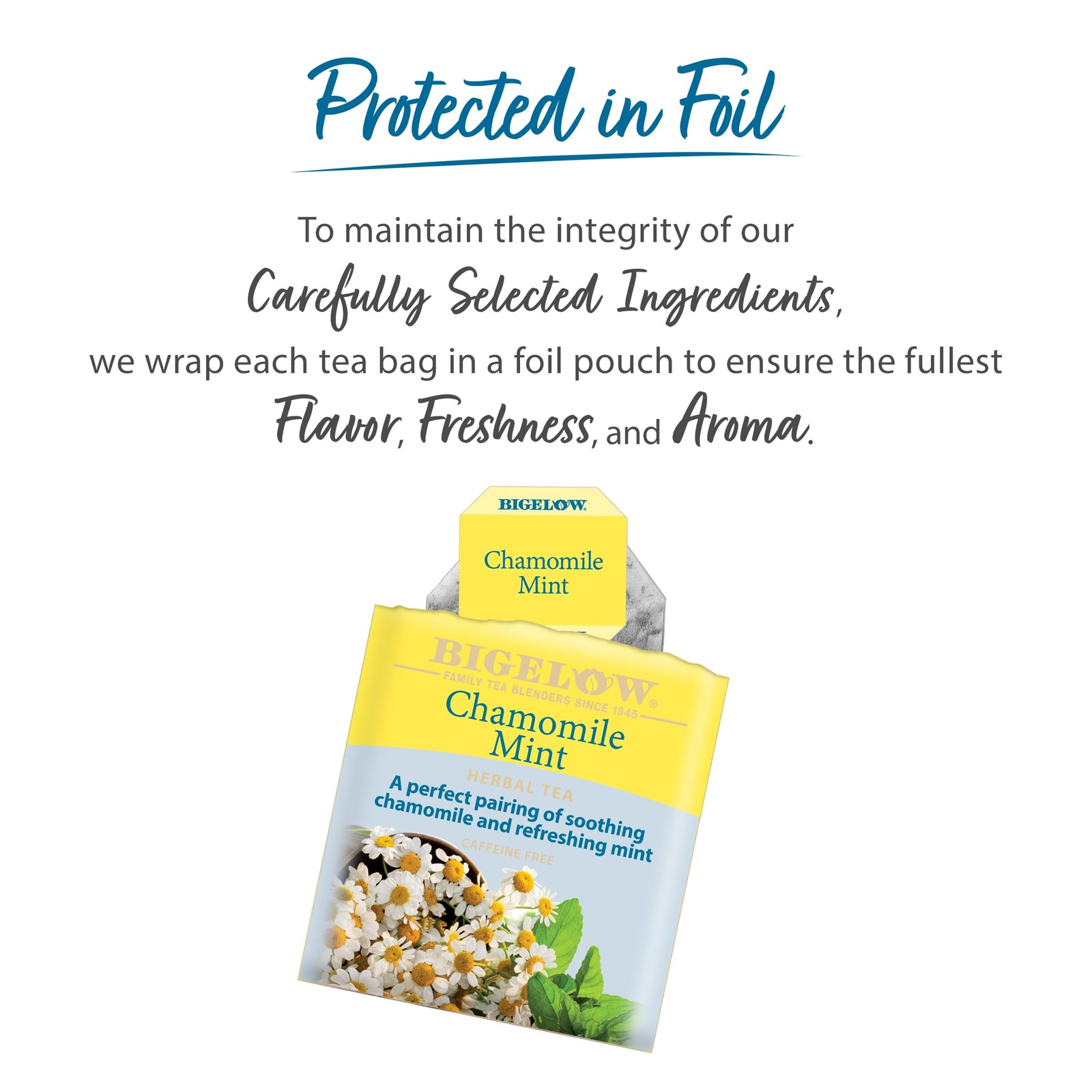 Chamomile Mint Herbal Tea, Caffeine Free, 20 Count Box (Pack of 6), 120 Total…