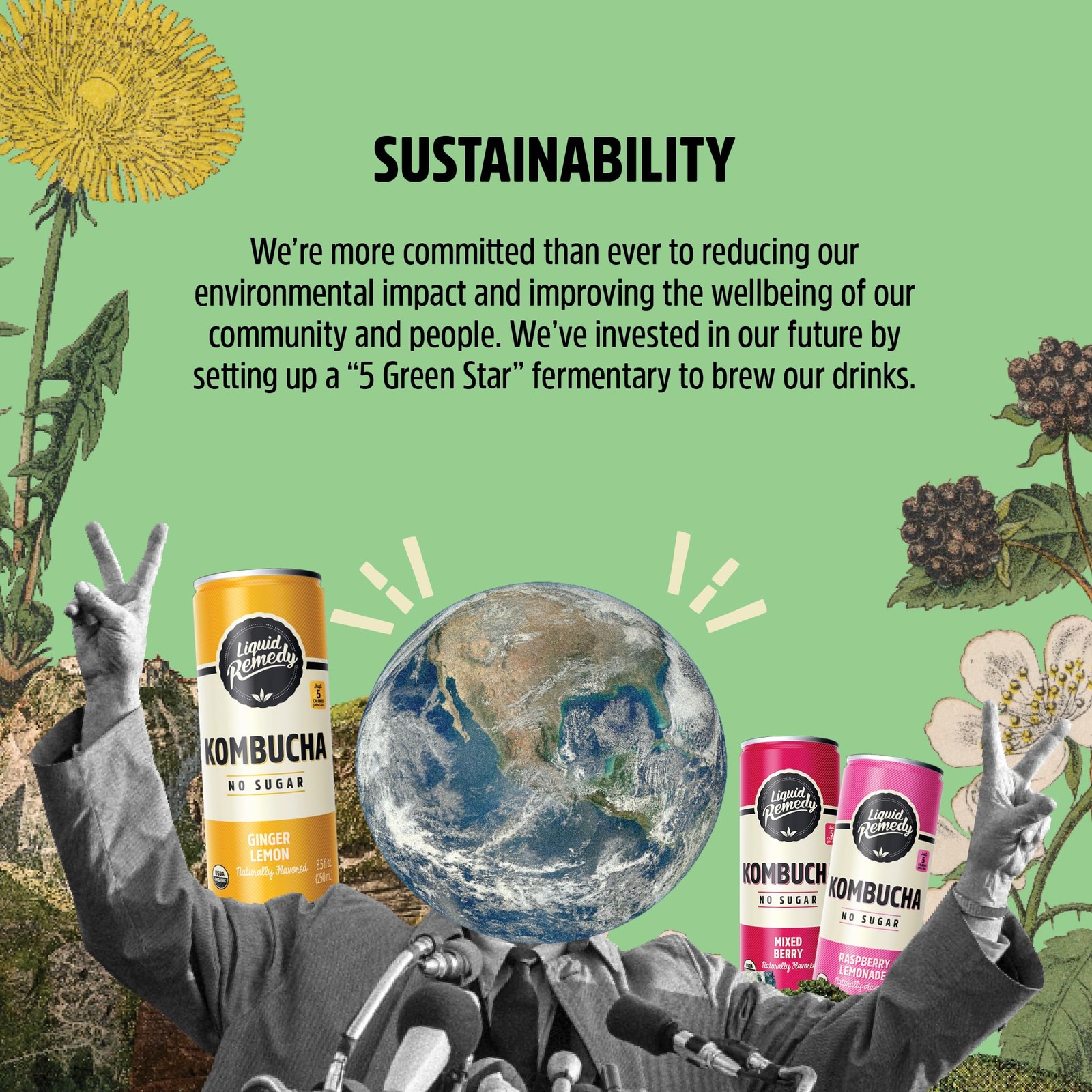 Liquid Remedy Kombucha Sugar Free Organic Drink, Low Calorie, Probiotic Like …