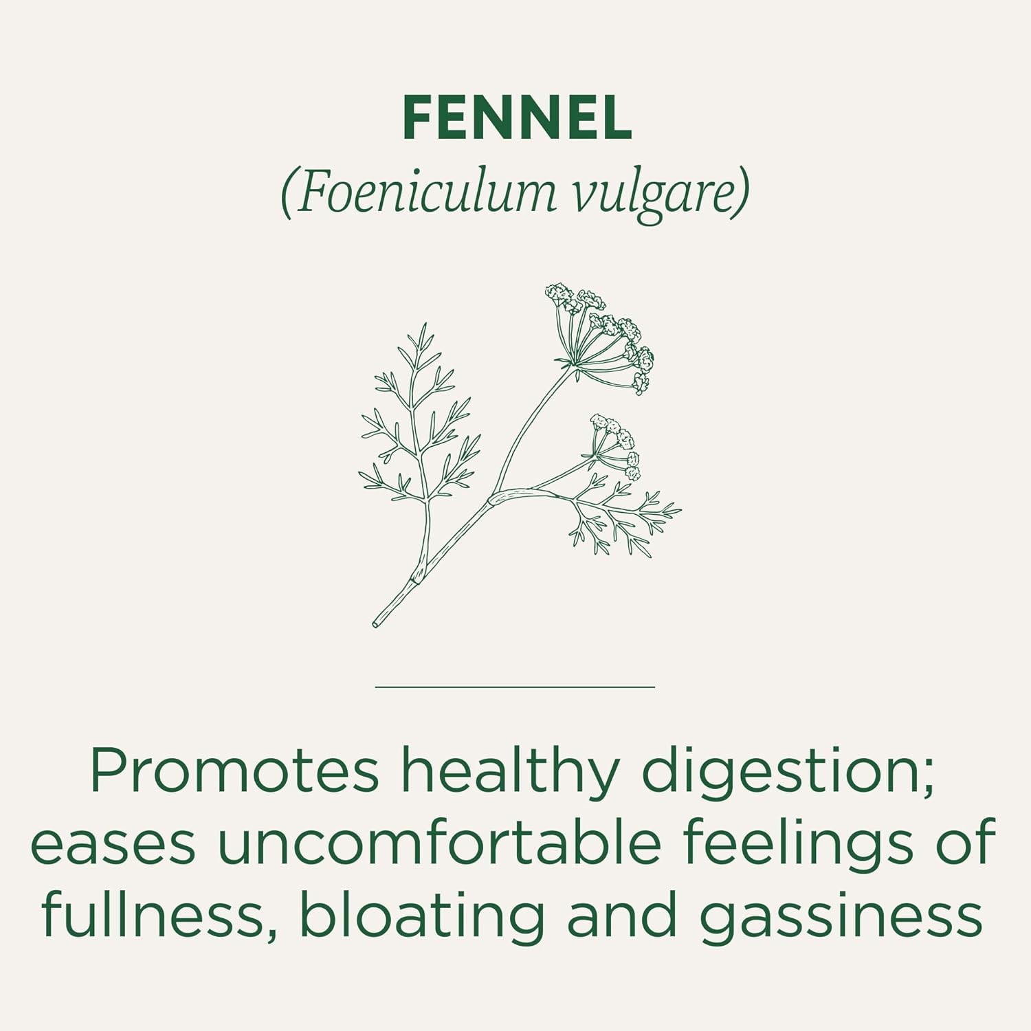 Traditional Medicinals Organic Fennel Herbal Tea, 16 Tea Bags
