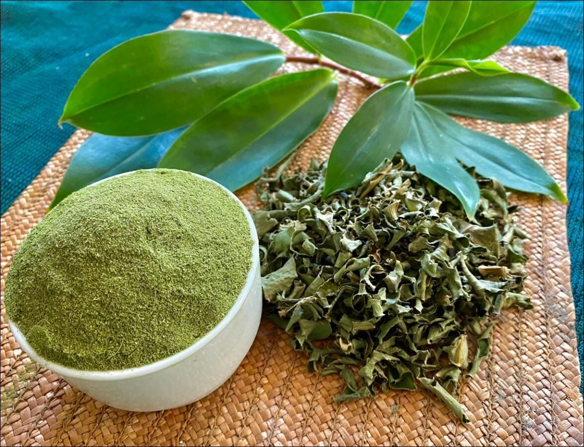 Ceylon Ayurvedic Sun Dried Insulin Plant THEBU LEAVES POWDER Diabetic Tea 100G