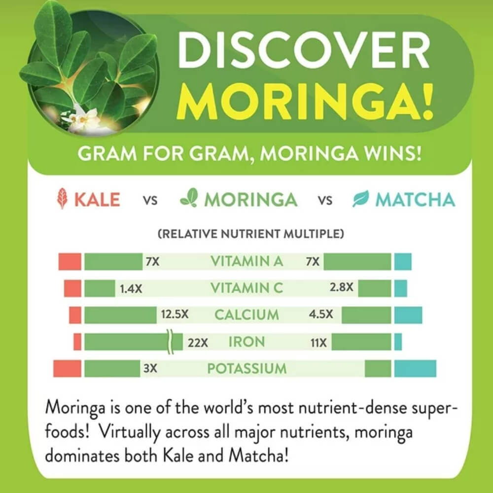 USDA Organic Moringa Blueberry Tea Bags, 28 Teas