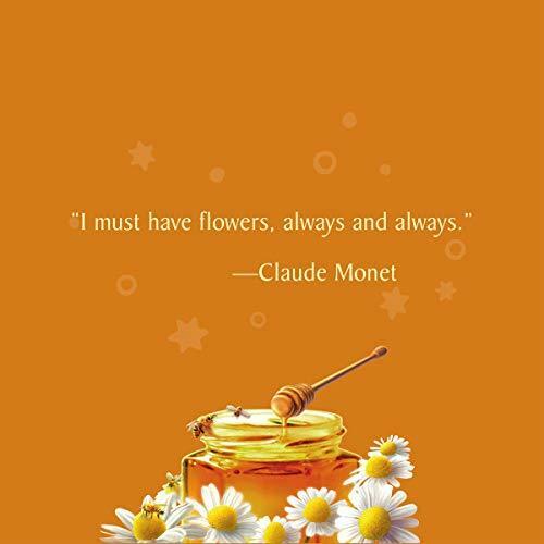 Celestial Seasonings Herbal Tea, Honey Vanilla Chamomile, 20 Count (Pack of 6)