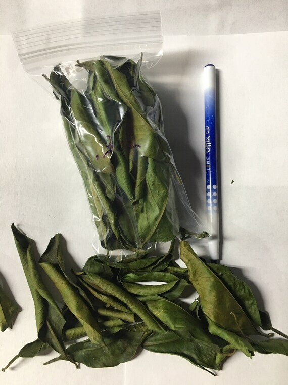 Orange Green Leaves Dried Tea Purple Tangerine Flowers Leaf XinHui Peel Canna