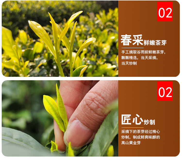HuangJin Ya Yellow Golden Bud Yu Qian Premium Grade An Ji Bai Pian Green Tea