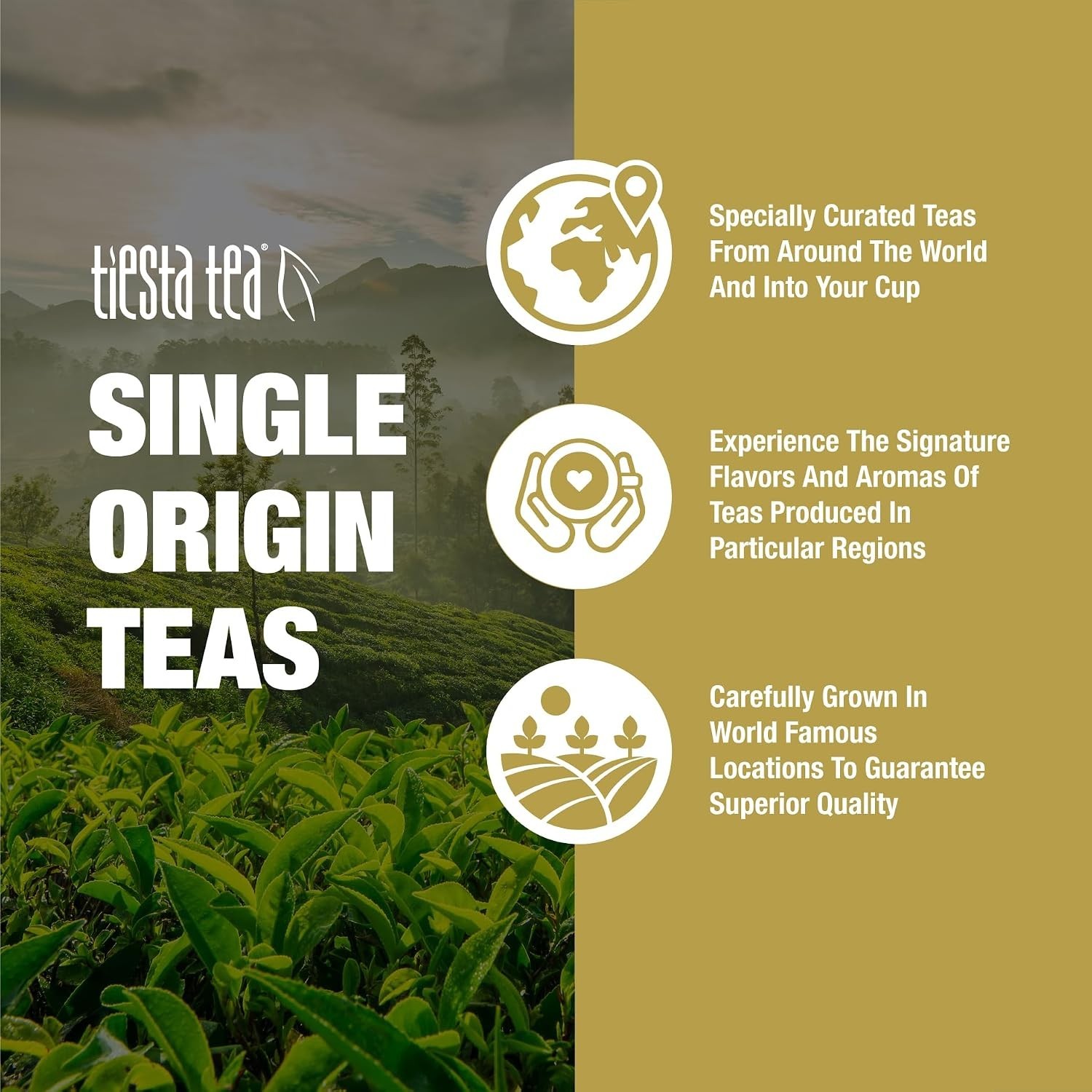 High-Quality Ceylon Black Tea – Single Origin Loose Leaf