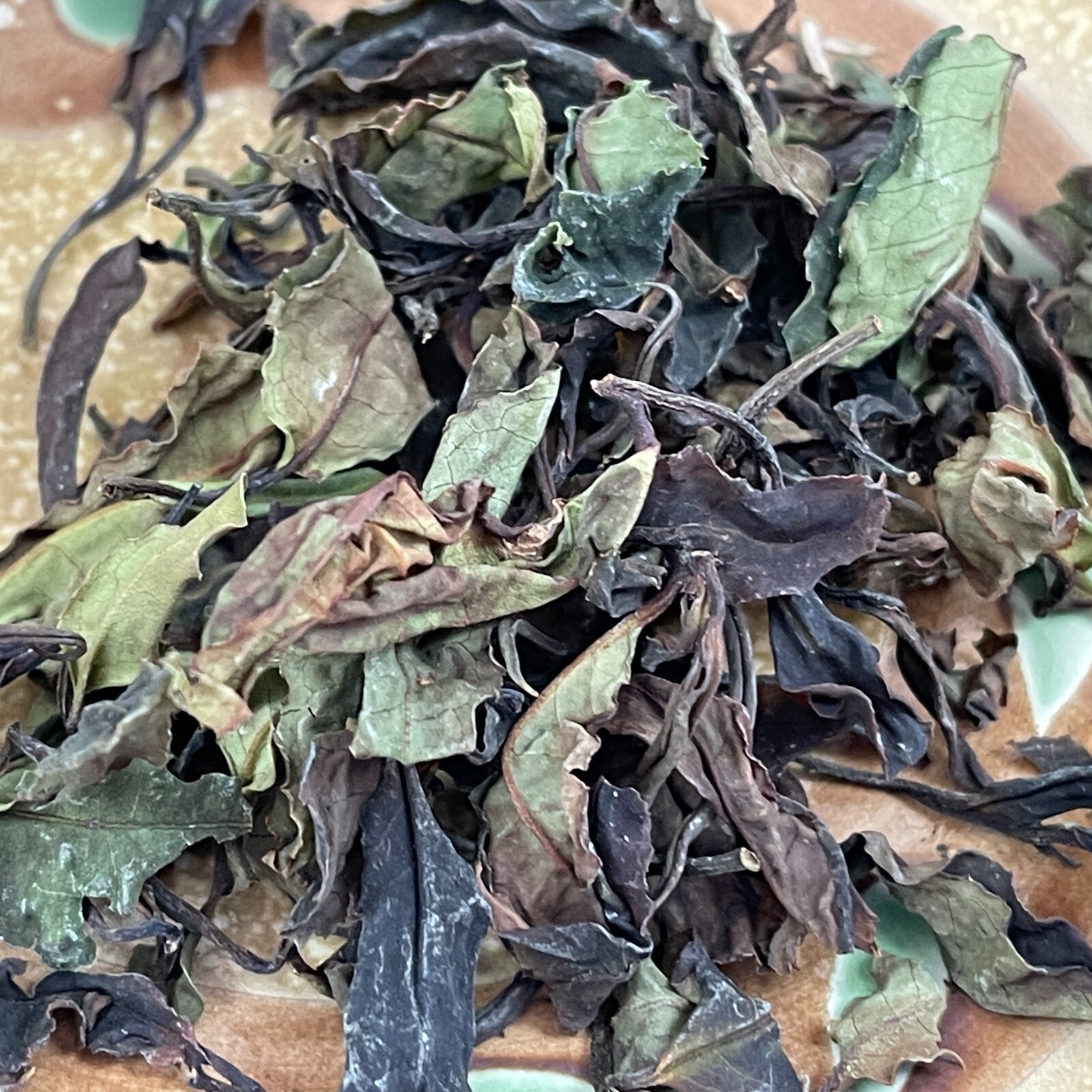 Taiwan indigenous wild tea,Xinfa Community,White Tea,38g*4
