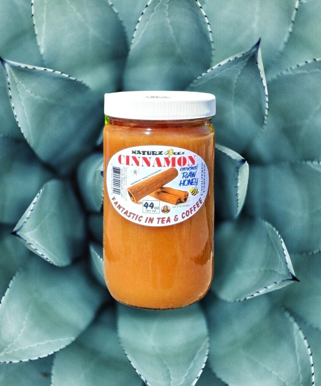 RAW HONEY and CINNAMON 2.75 Lbs / 44oz 100% PURE USA HONEY Glass Jar
