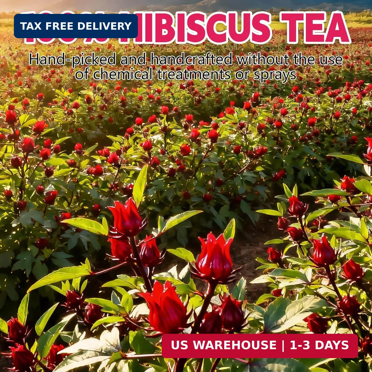 Hibiscus Tea Bags-120 Tea Bags (2g/Bag), Made from 100% Natural Hibiscus | Antio
