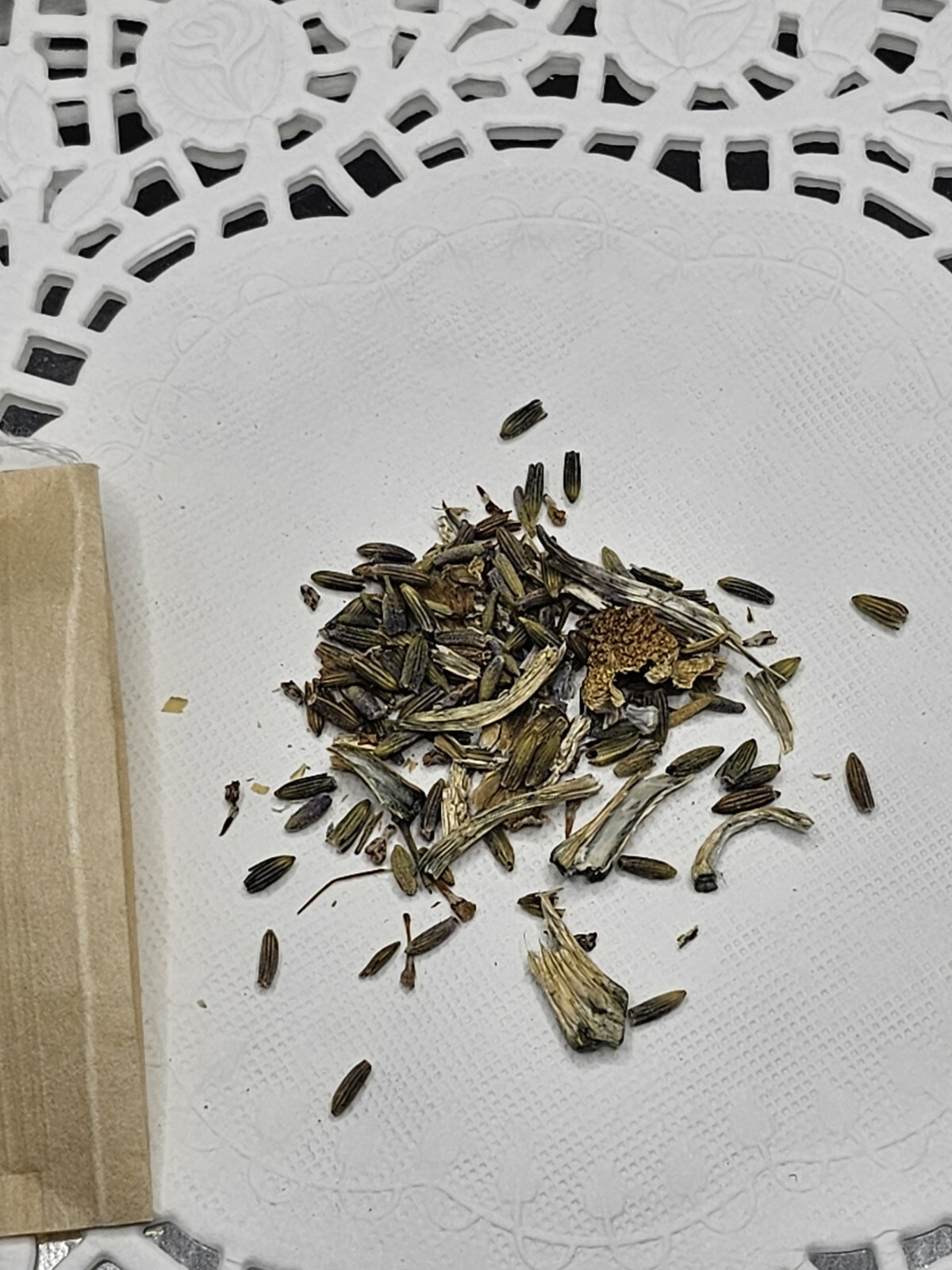 Mushroom Tea Blends Plain Magical