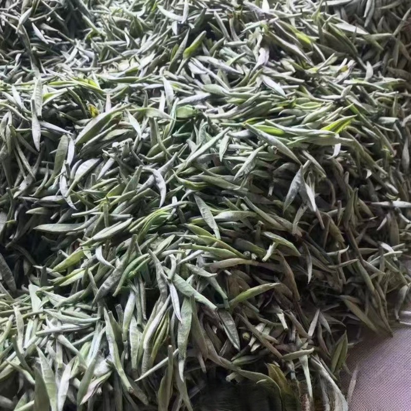 500g Yunnan Silver Needle Single Bud Moonlight White Ancient Tree Bulk White Tea