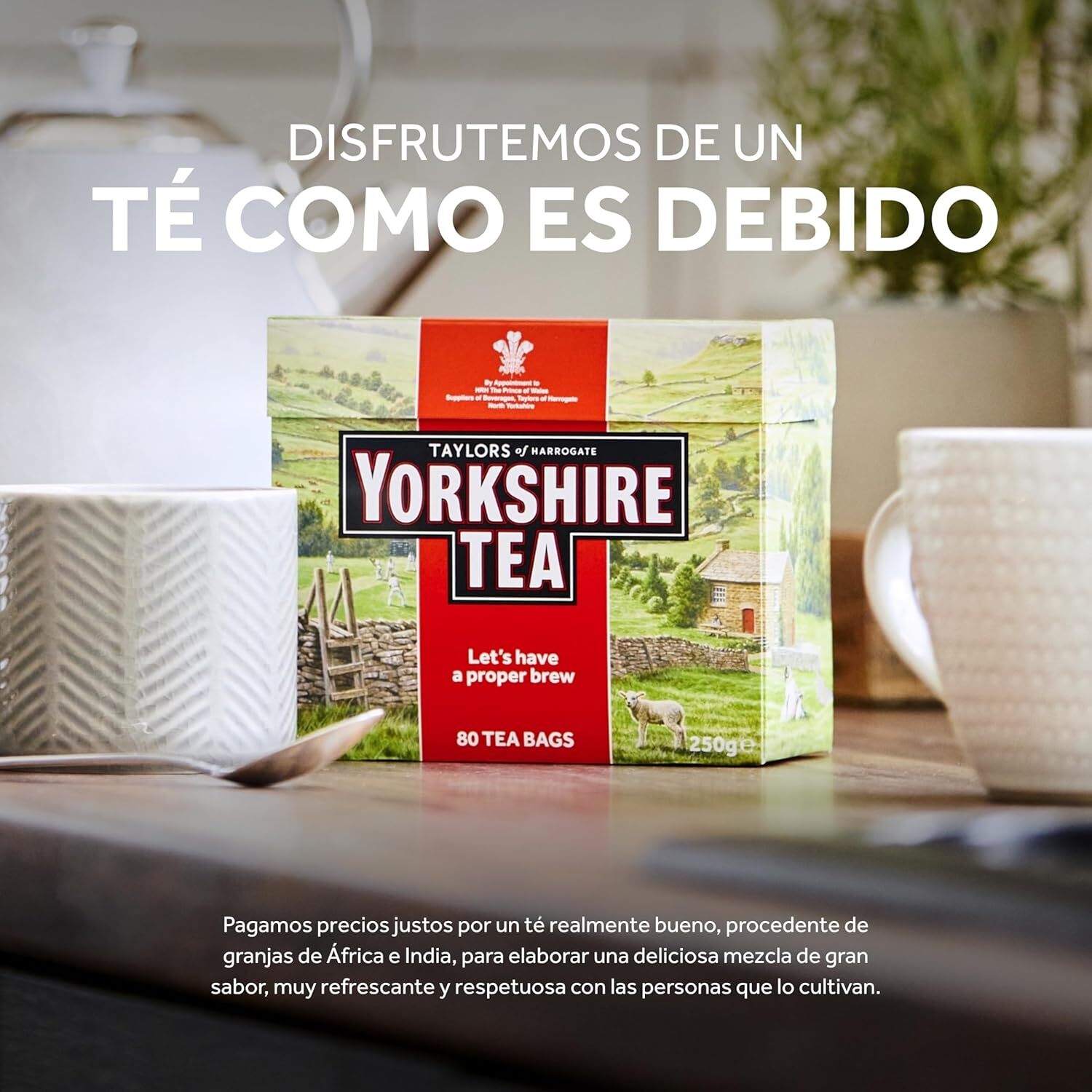 Taylors of Harrogate Yorkshire Red, 240 Teabags 240 Count (Pack 1)