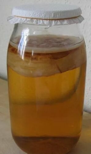 Kombucha Organic Raw Probiotics Scoby Live Culture Mushroom Starter Kit Detox