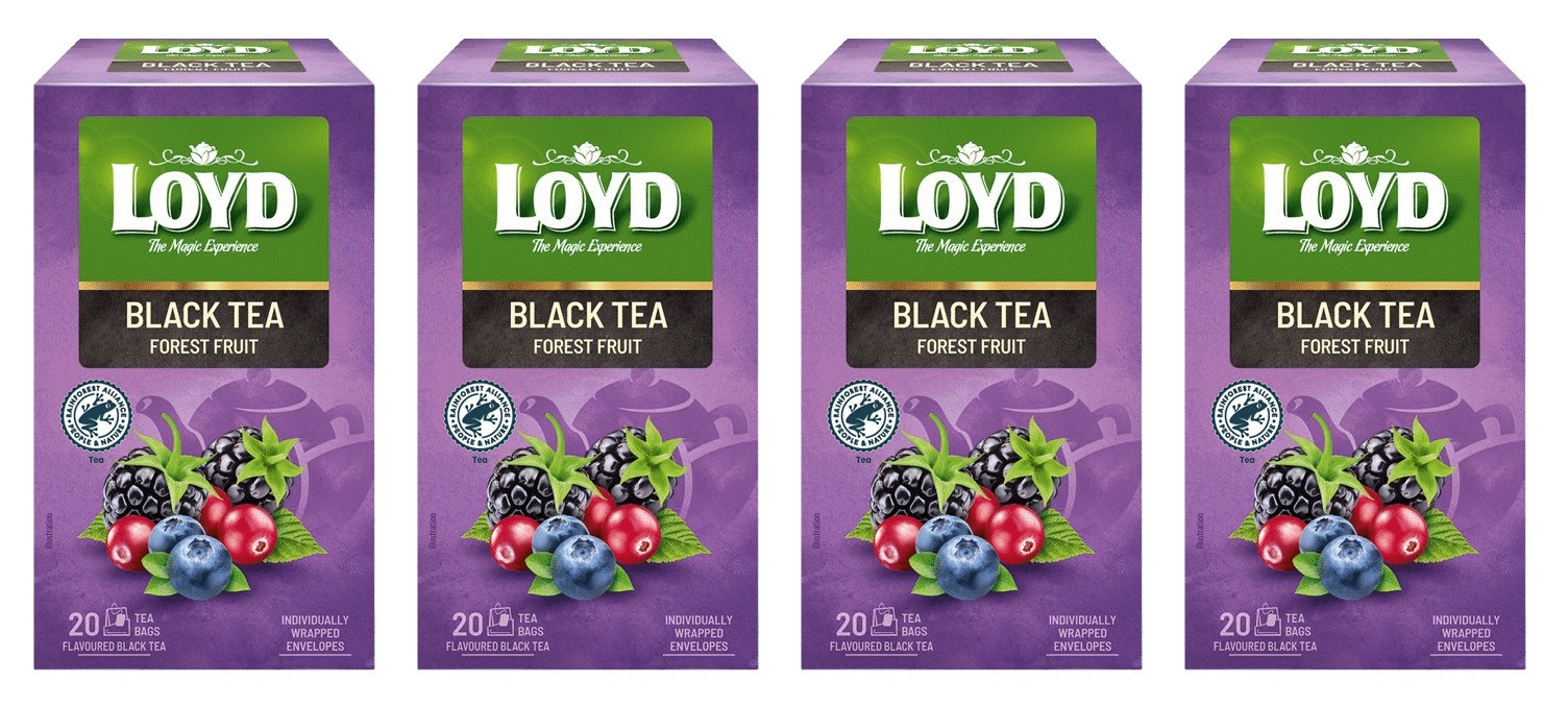 4 LOYD FOREST FRUIT Flavor Black Tea 20 Teabags Boxes 34g 1.2oz