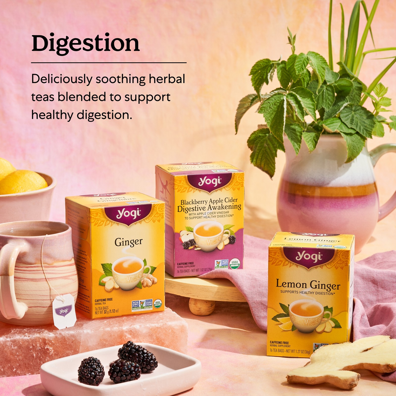 Yogi Tea – Stomach Ease (4 Pack) Caffeine Free – 64 Organic Herbal Tea Bags