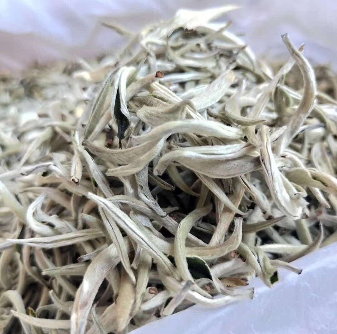 Ceylon of Nature’s silver tip tea Organic leaf loose 100g Original factory fresh