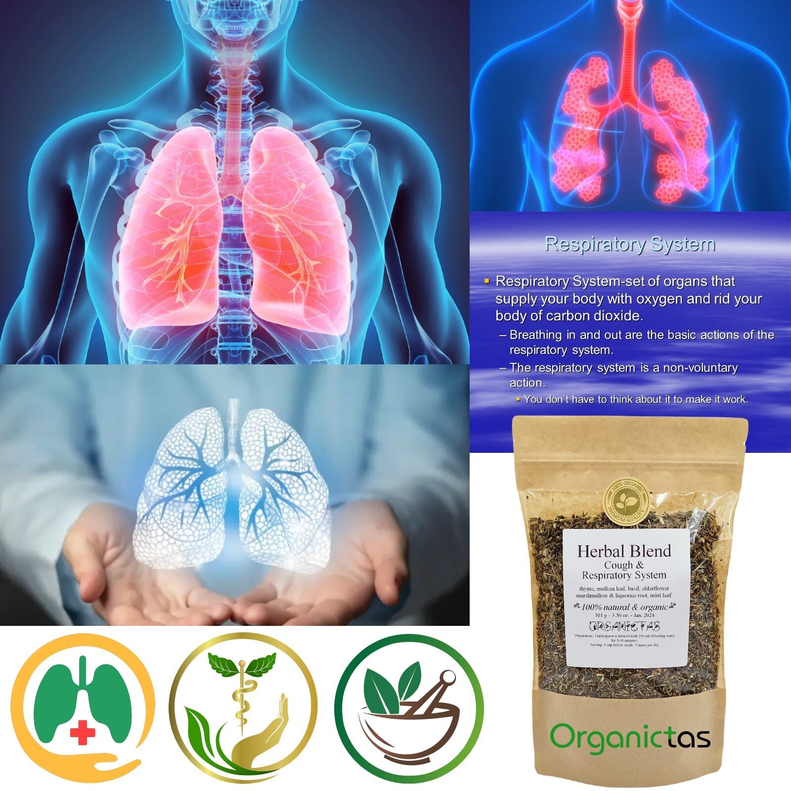 Best Tea for RESPIRATORY SYSTEM – 7 Herbs Lung Health Cough Mucus Cleansing Tea