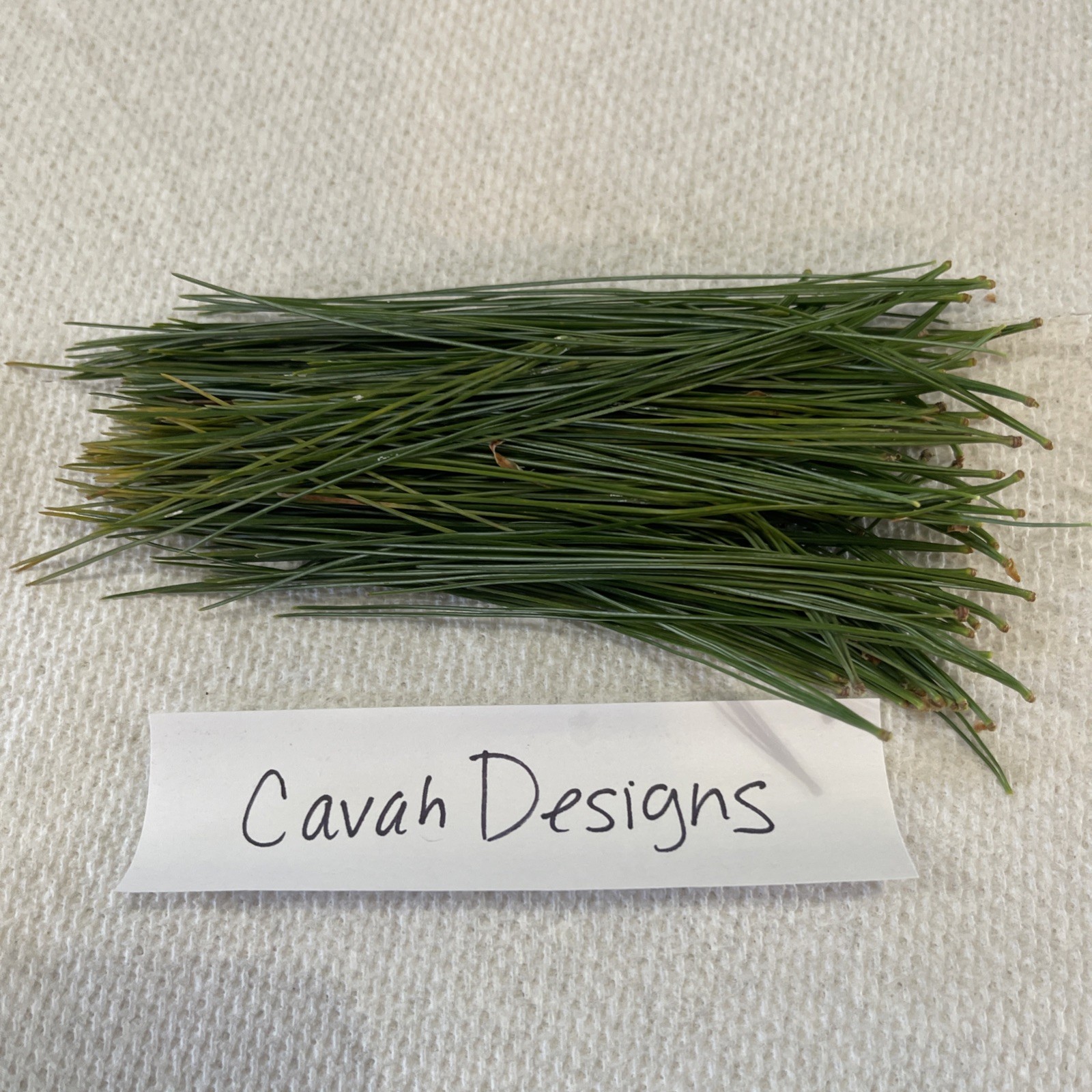 White Pine Tea Needles Organic Infusion Fresh Picked Wild Ohio Grown 6oz