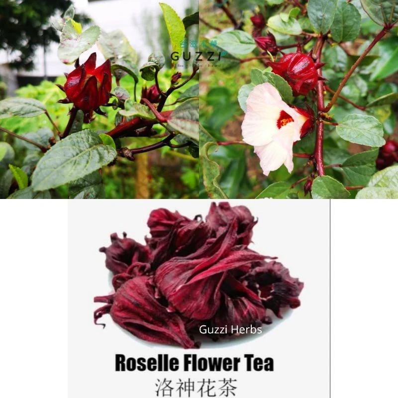 Grade A Dried Roselle hibiscus Flower Tea Vitamin C Ribena