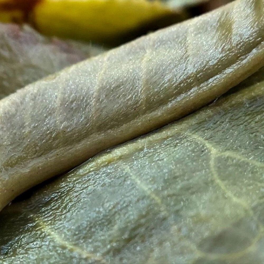 Pu-Erh tea,2020,ChenShenghao,霸王青餅 Bawang Green Cake,357g,Raw