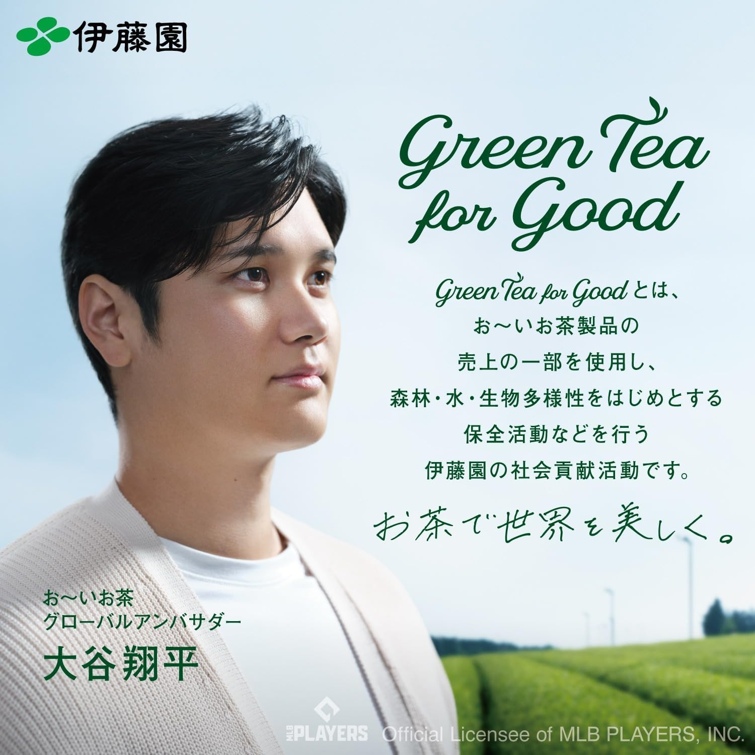 Itoen Oi Ocha HojiCha Roasted Green Tea Instant Powder 80g 100cups Hot&Cold Brew