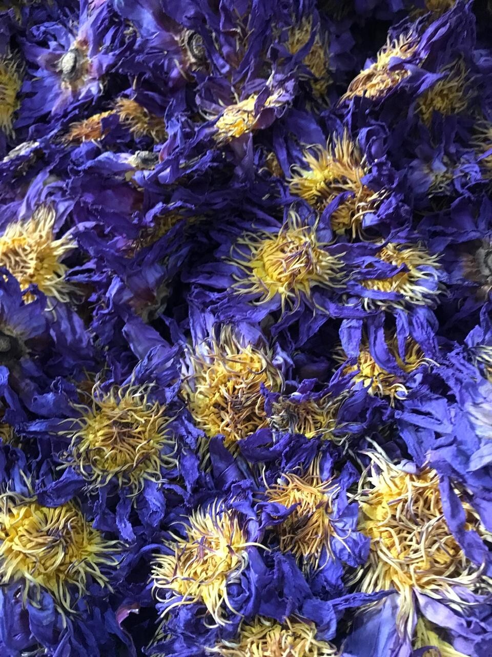 Ceylon Dried Blue Lotus 50g Nymphaea Caerulea 100% Hand Picked Flower Herbal Tea