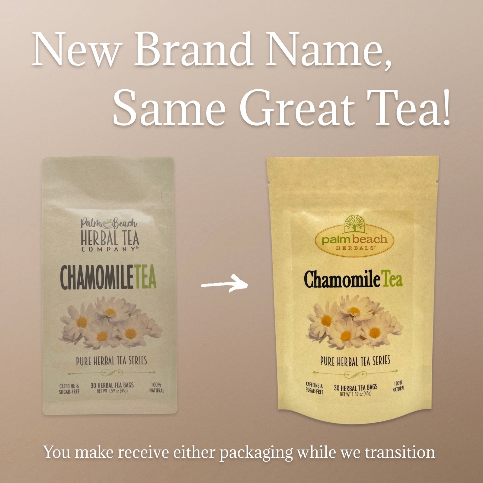 Chamomile Tea by Palm Beach Herbals | 30ct, Caffeine-Free