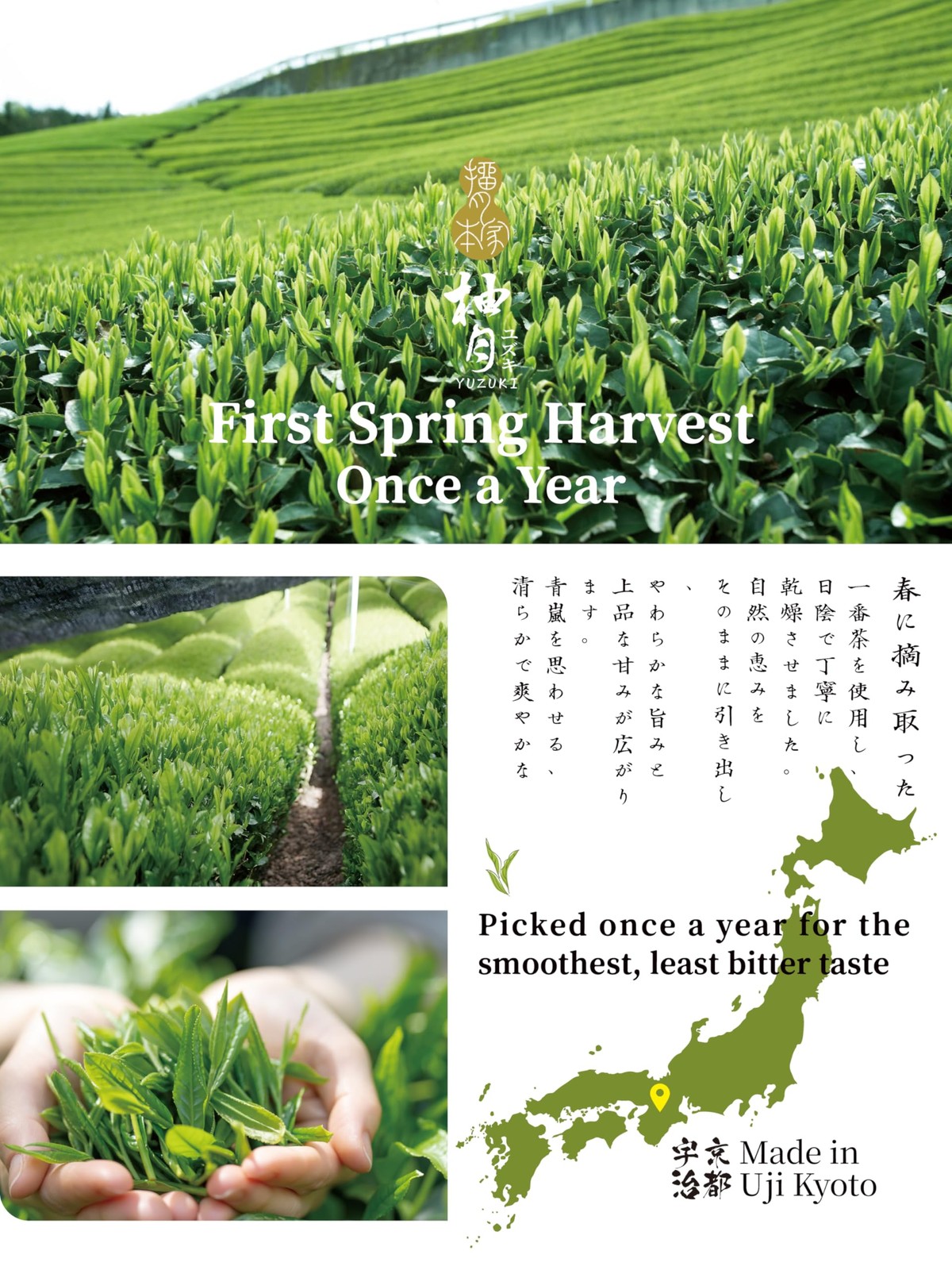 Premium Japanese Ceremonial Grade Matcha Powder, First Harvest Matcha Green T…