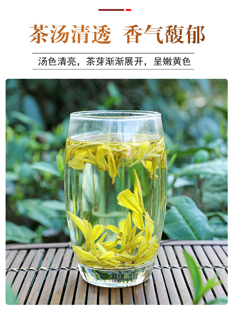 HuangJin Ya Yellow Golden Bud Yu Qian Premium Grade An Ji Bai Pian Green Tea