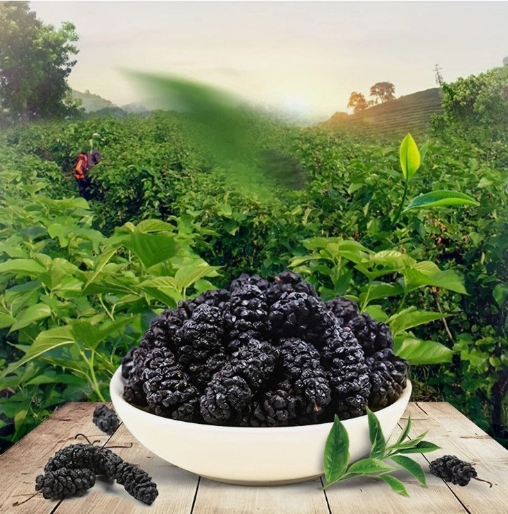President Dried Black Mulberries 10oz Fruit Tea Sun-dried Mulberries Snack Vegan