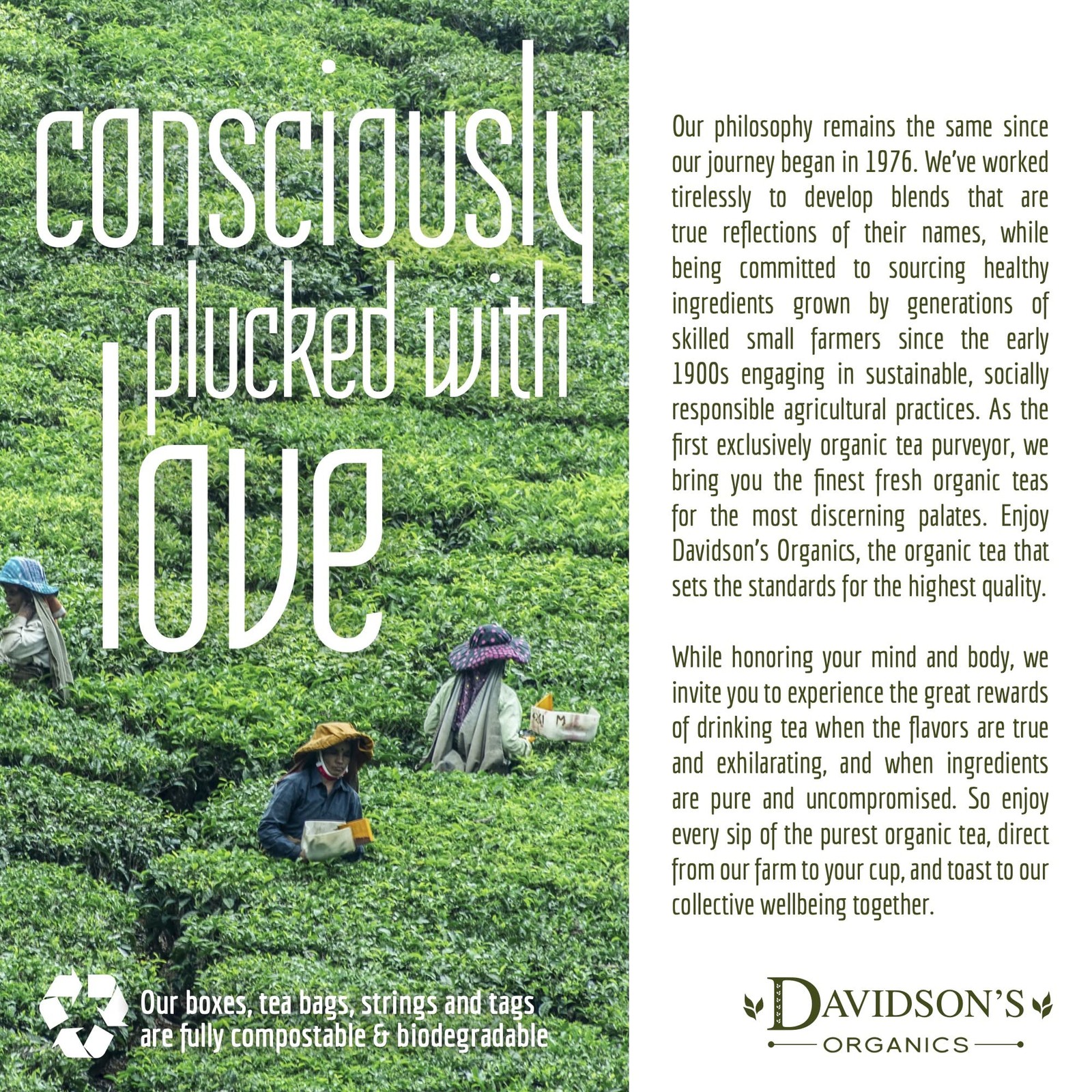 Tea Earl Grey Bulk 16-Ounce Bag